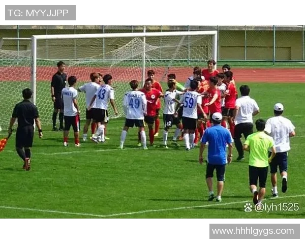 成都足球队实力揭秘：从青训到职业联赛的全景分析与展望